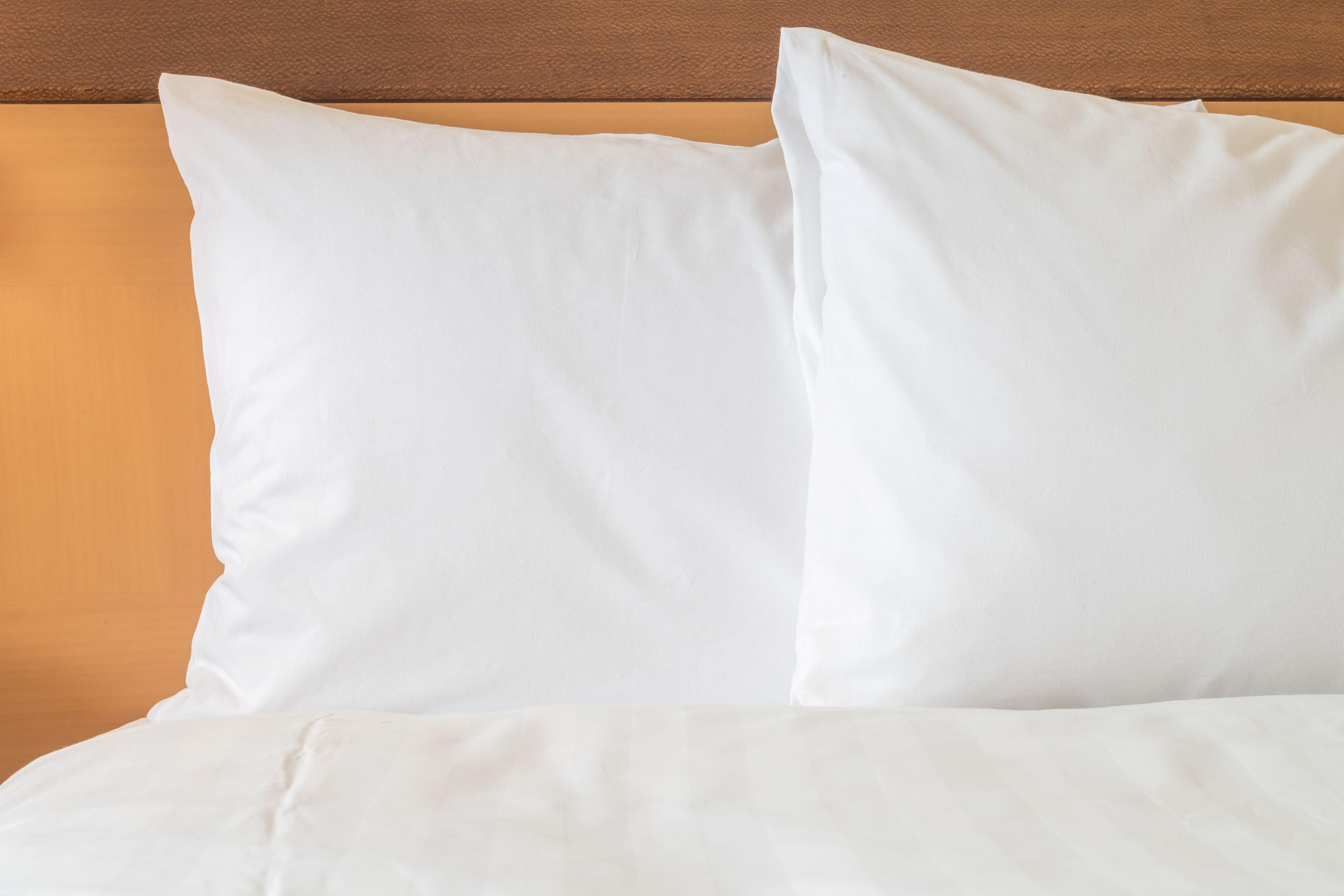 Holiday Inn Express - Allentown North By Ihg Zewnętrze zdjęcie
